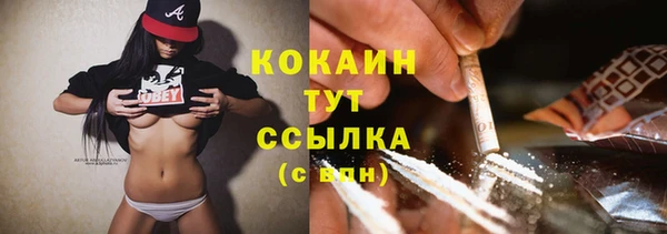 сатива Заволжье