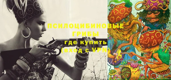 сатива Заволжье