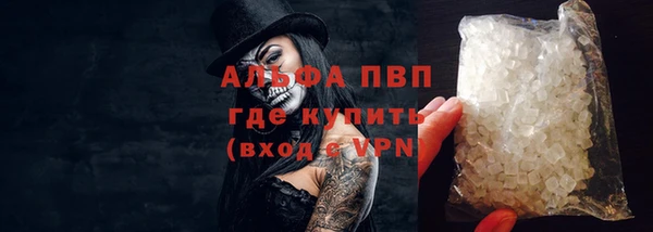 сатива Заволжье