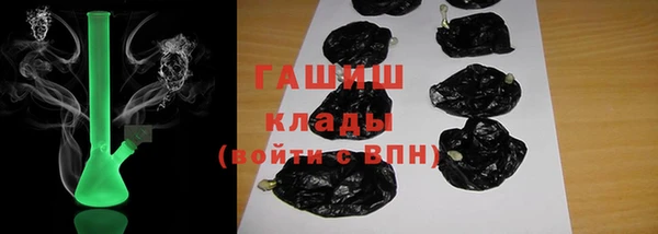 сатива Заволжье