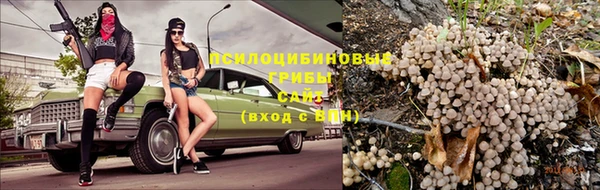 apvp Заволжск