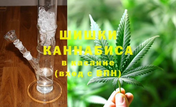 сатива Заволжье