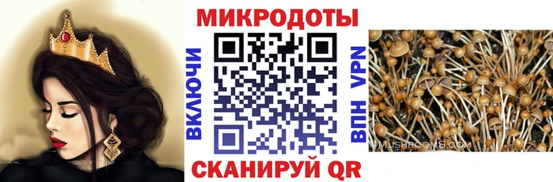 Купить  Татарск  Галлюциногенные грибы прущие грибы 